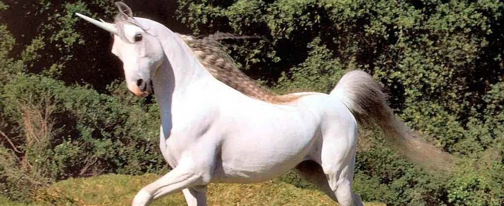 Unicornio: leyenda, significado y mucho más del místico caballo