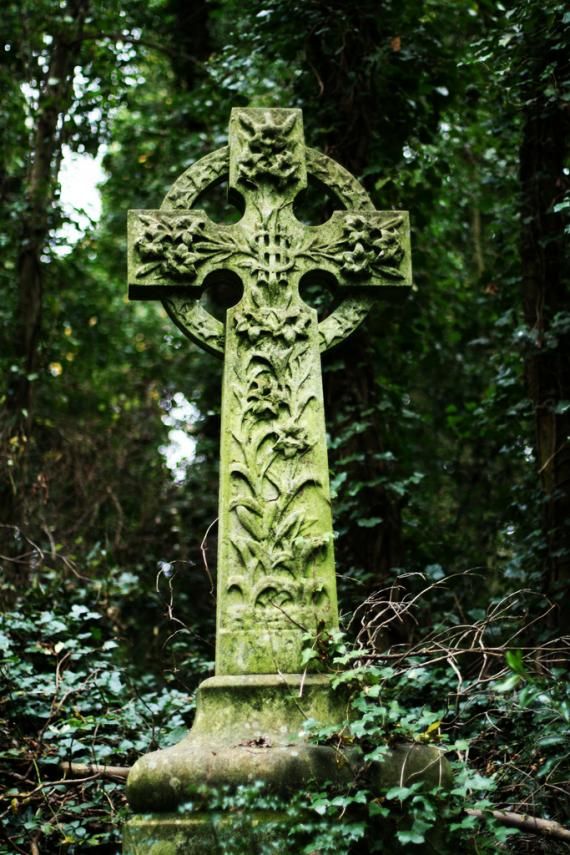 cruz celta 7