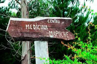 Machi Mapuche 9