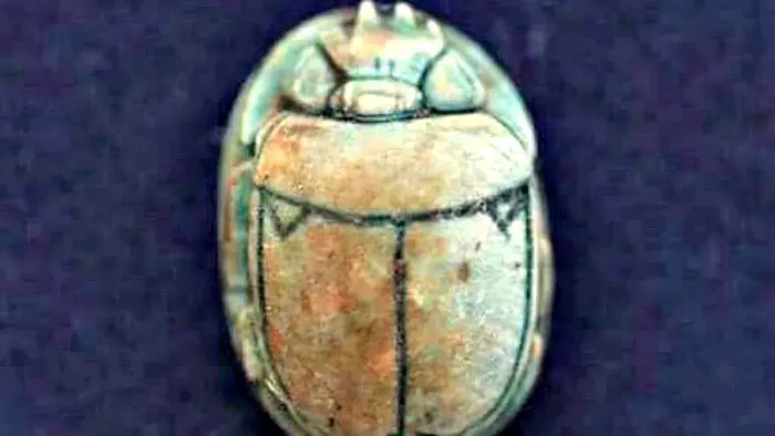 escarabeo