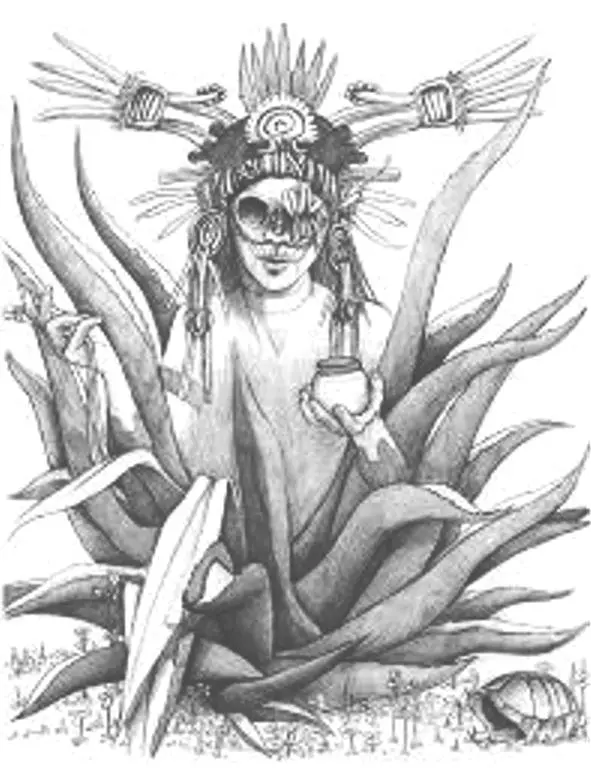 Descubre todo sobre Mayáhuel, diosa mexicana