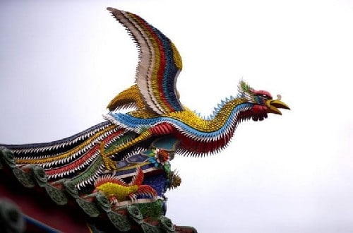 Descubre todo sobre Fenghuang, el ave mitológica china