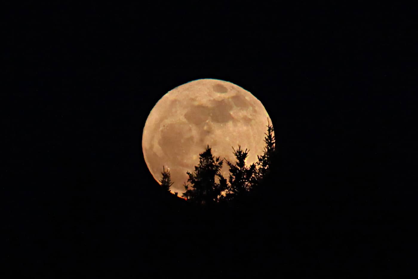Tukik, lo que no sabías sobre el dios de la luna